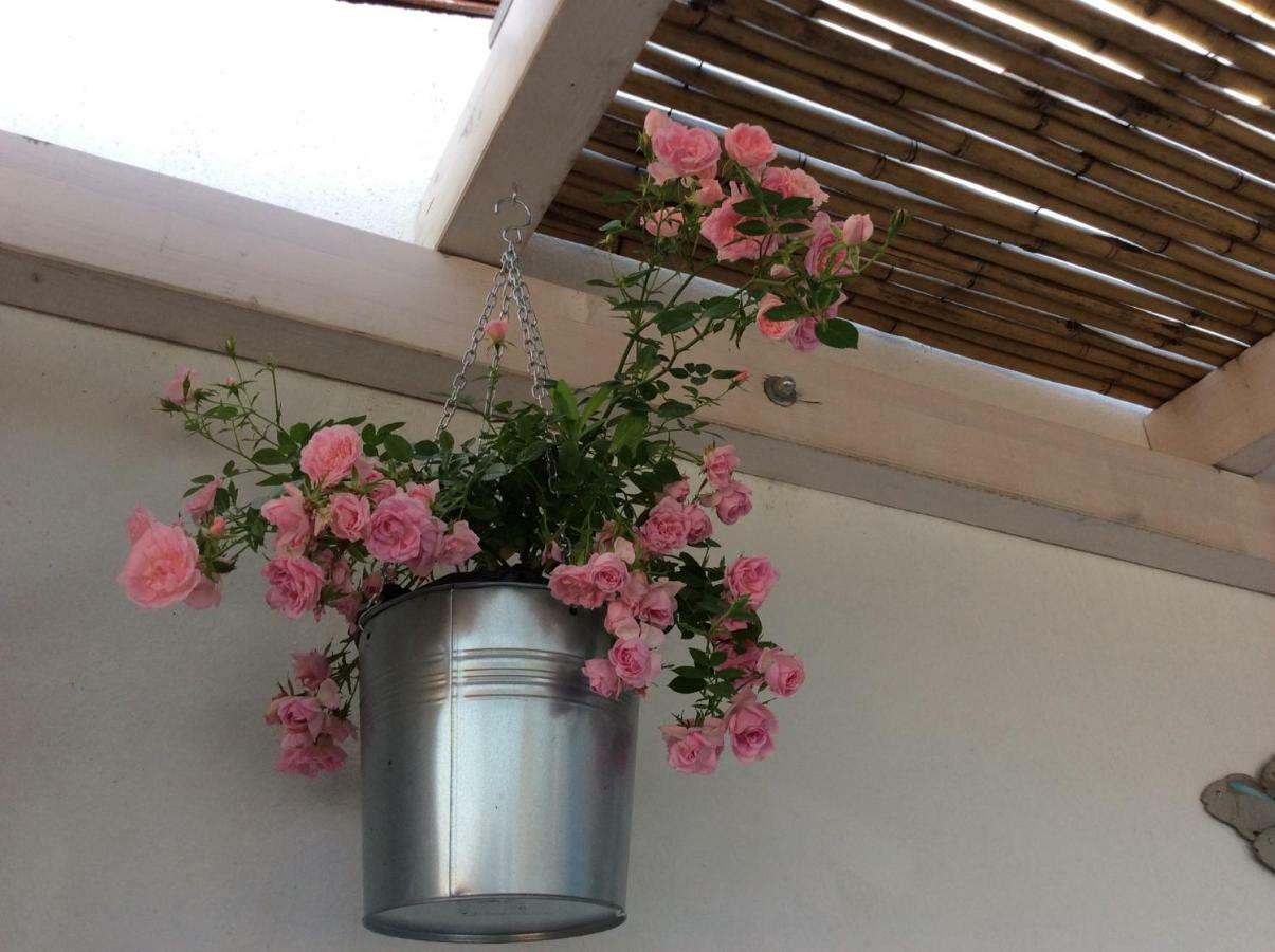 소르소 4 In Piazza B&B 외부 사진